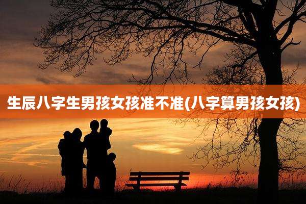 生辰八字生男孩女孩准不准(八字算男孩女孩)