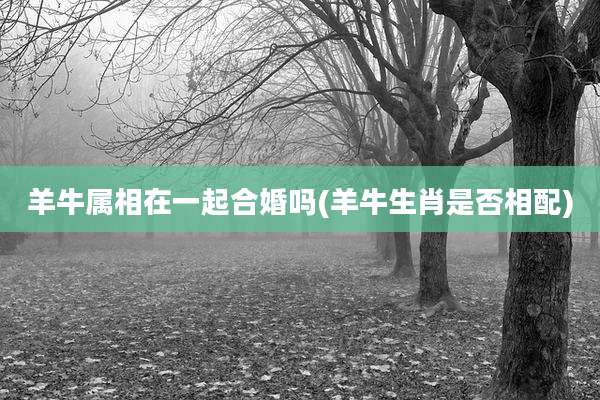 羊牛属相在一起合婚吗(羊牛生肖是否相配)