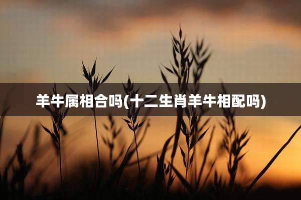 羊牛属相合吗(十二生肖羊牛相配吗)