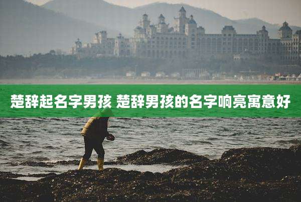 楚辞起名字男孩 楚辞男孩的名字响亮寓意好