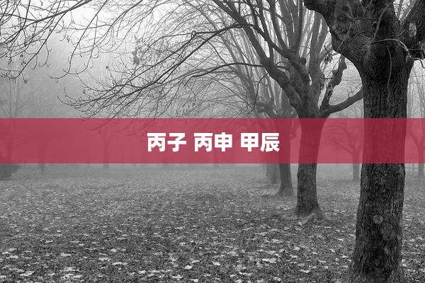 丙子 丙申 甲辰