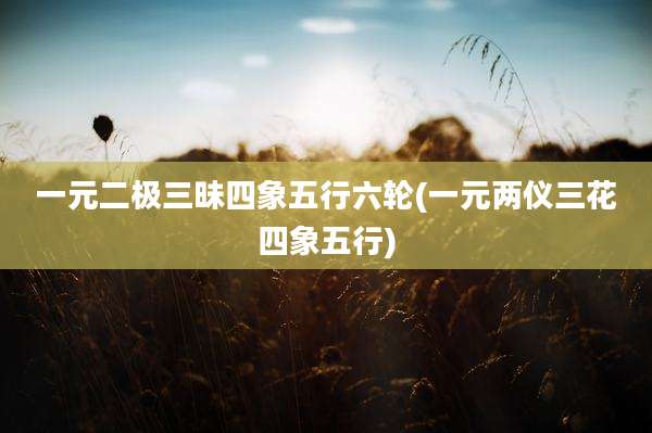 一元二极三昧四象五行六轮(一元两仪三花四象五行)