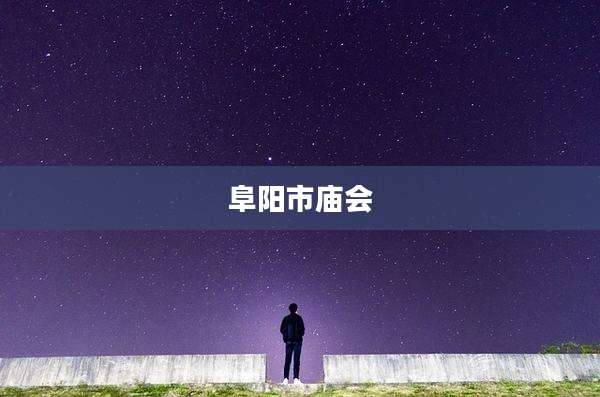 阜阳市庙会