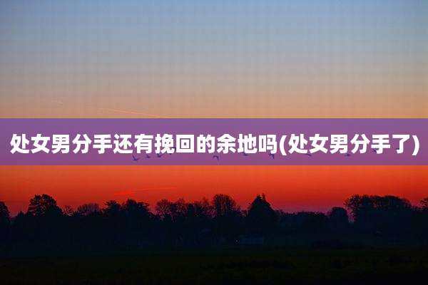 处女男分手还有挽回的余地吗(处女男分手了)