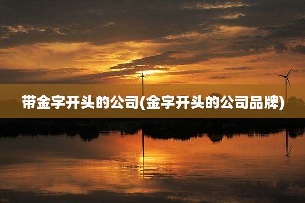 带金字开头的公司(金字开头的公司品牌)