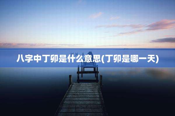 八字中丁卯是什么意思(丁卯是哪一天)