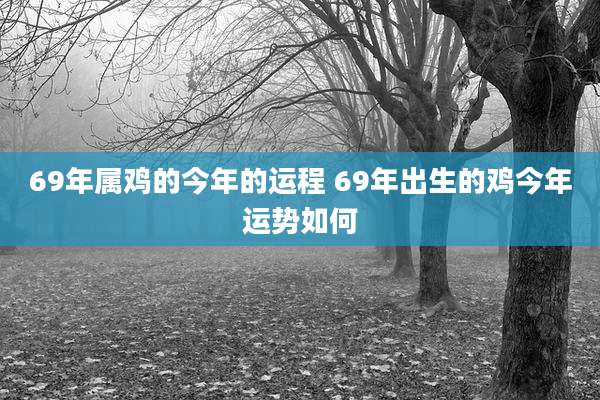 69年属鸡的今年的运程 69年出生的鸡今年运势如何