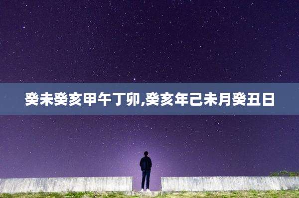 癸未癸亥甲午丁卯,癸亥年己未月癸丑日
