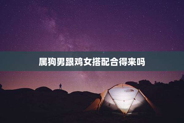 属狗男跟鸡女搭配合得来吗