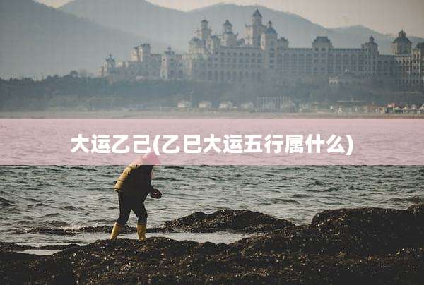 大运乙己(乙巳大运五行属什么)