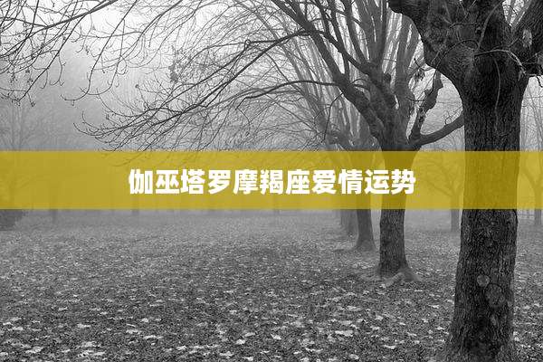 伽巫塔罗摩羯座爱情运势