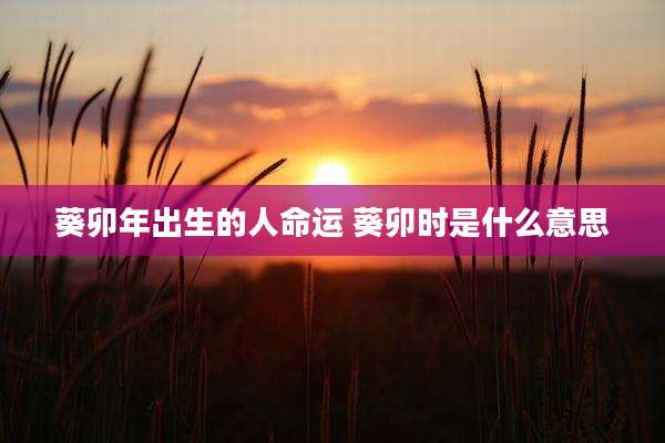 葵卯年出生的人命运 葵卯时是什么意思