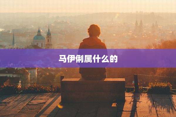 马伊俐属什么的