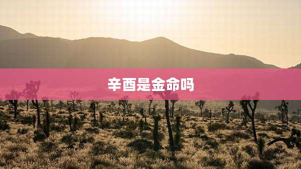 辛酉是金命吗
