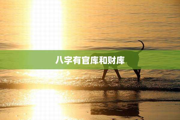 八字有官库和财库