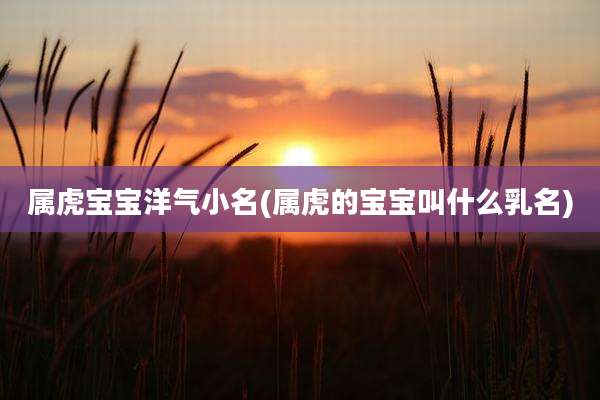 属虎宝宝洋气小名(属虎的宝宝叫什么乳名)