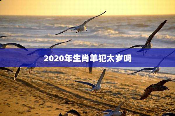 2020年生肖羊犯太岁吗