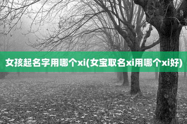 女孩起名字用哪个xi(女宝取名xi用哪个xi好)
