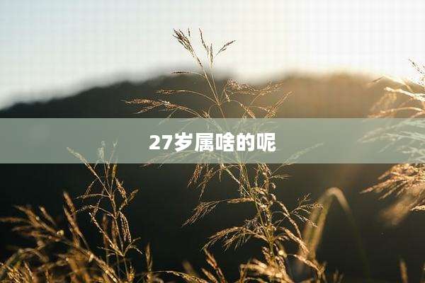 27岁属啥的呢