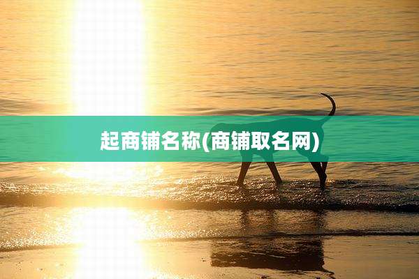 起商铺名称(商铺取名网)