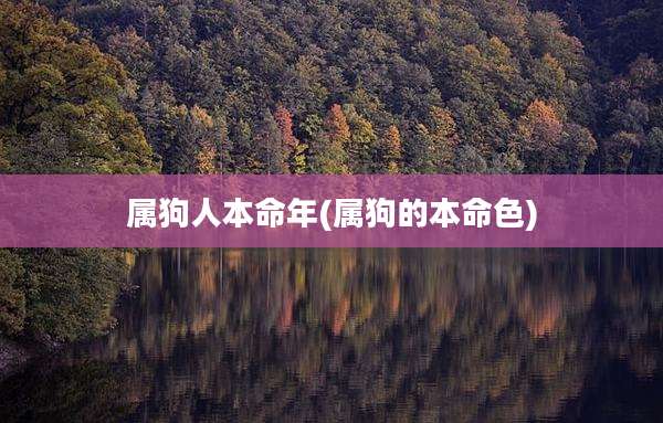 属狗人本命年(属狗的本命色)