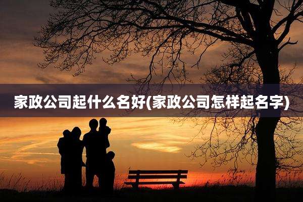 家政公司起什么名好(家政公司怎样起名字)