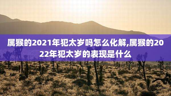 属猴的2021年犯太岁吗怎么化解,属猴的2022年犯太岁的表现是什么