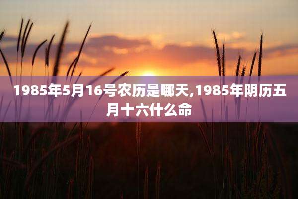 1985年5月16号农历是哪天,1985年阴历五月十六什么命