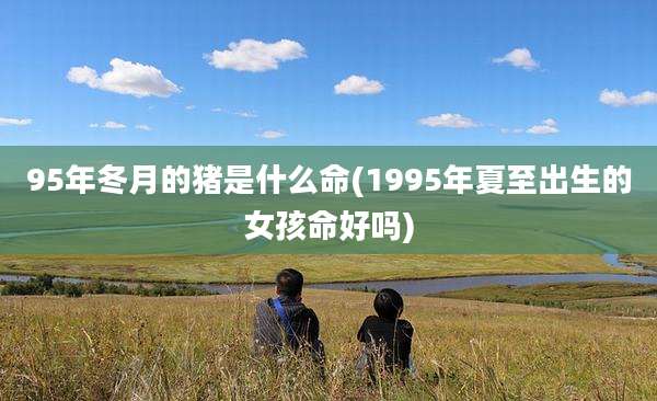 95年冬月的猪是什么命(1995年夏至出生的女孩命好吗)