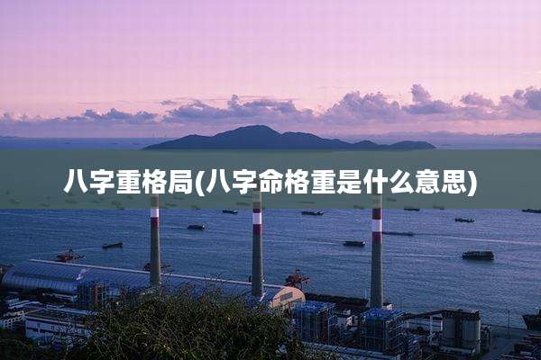 八字重格局(八字命格重是什么意思)