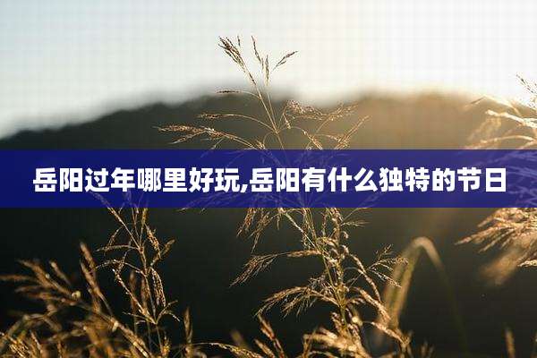 岳阳过年哪里好玩,岳阳有什么独特的节日
