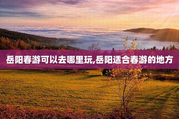 岳阳春游可以去哪里玩,岳阳适合春游的地方