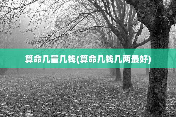 算命几量几钱(算命几钱几两最好)