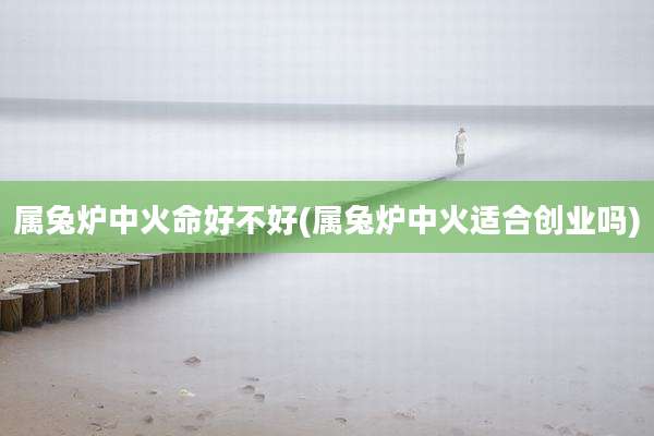 属兔炉中火命好不好(属兔炉中火适合创业吗)