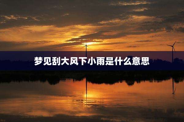 梦见刮大风下小雨是什么意思