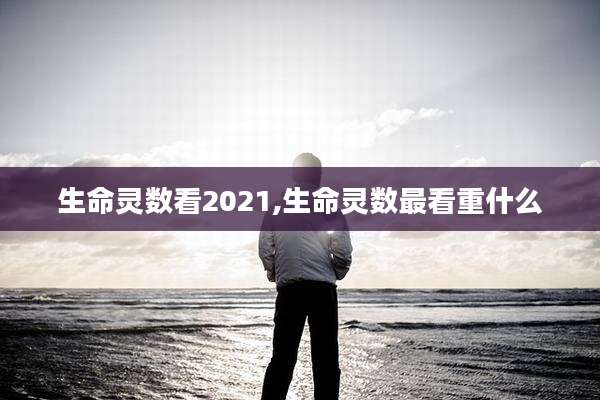 生命灵数看2021,生命灵数最看重什么