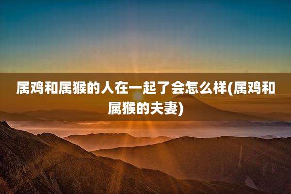 属鸡和属猴的人在一起了会怎么样(属鸡和属猴的夫妻)