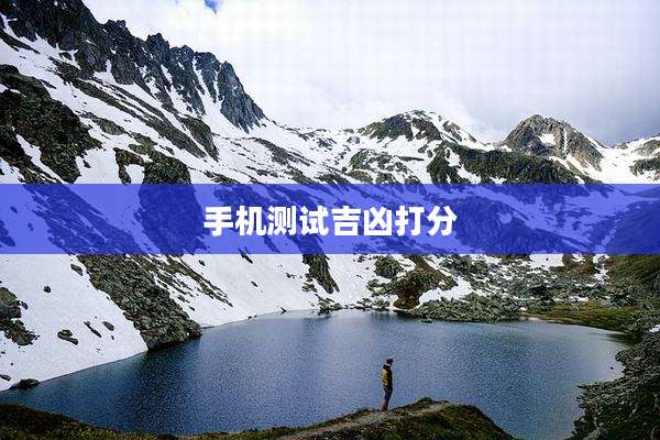 手机测试吉凶打分