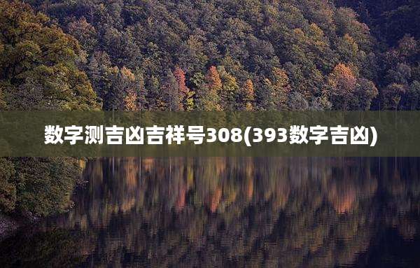 数字测吉凶吉祥号308(393数字吉凶)