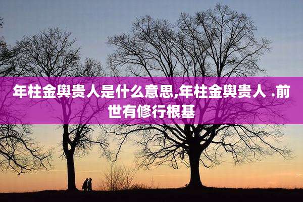 年柱金舆贵人是什么意思,年柱金舆贵人 .前世有修行根基