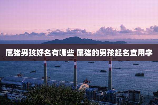 属猪男孩好名有哪些 属猪的男孩起名宜用字