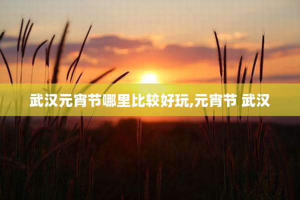 武汉元宵节哪里比较好玩,元宵节 武汉