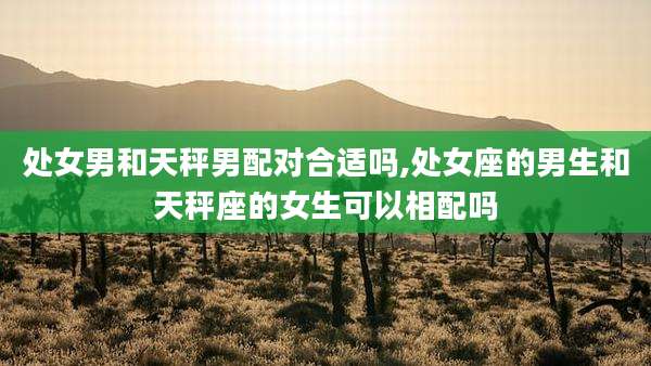 处女男和天秤男配对合适吗,处女座的男生和天秤座的女生可以相配吗