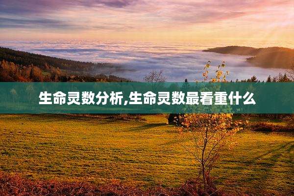 生命灵数分析,生命灵数最看重什么