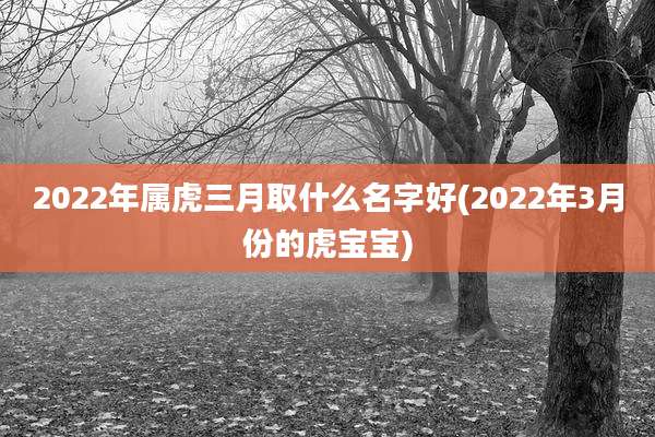 2022年属虎三月取什么名字好(2022年3月份的虎宝宝)