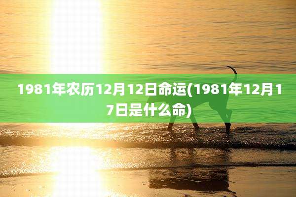 1981年农历12月12日命运(1981年12月17日是什么命)