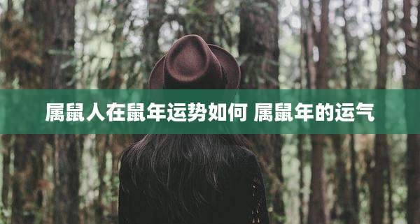 属鼠人在鼠年运势如何 属鼠年的运气