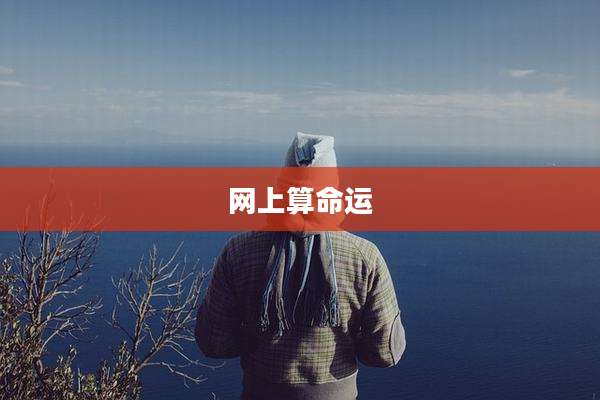 网上算命运