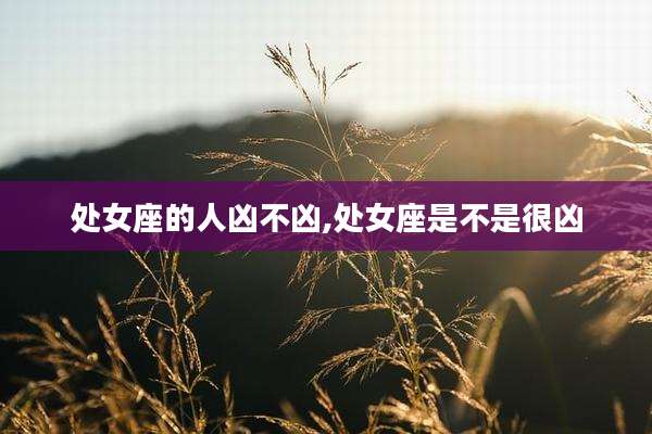 处女座的人凶不凶,处女座是不是很凶