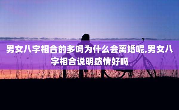 男女八字相合的多吗为什么会离婚呢,男女八字相合说明感情好吗